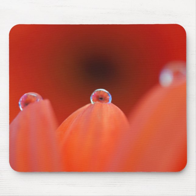 Orange Gerbera Refraction Mousepad Musmatta (Framsidan)