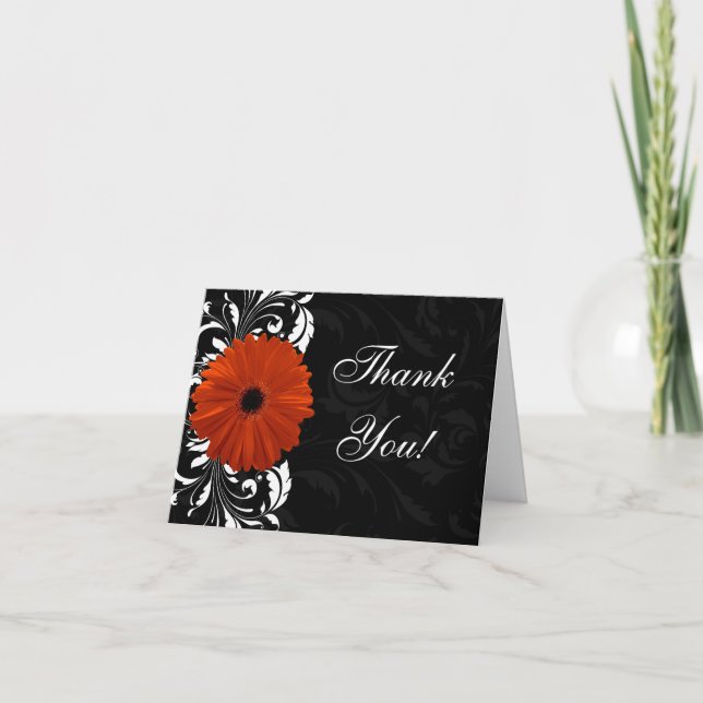 Orange Gerbera Tusensköna med Svart och Vit Scroll Tack Kort (Framsida)