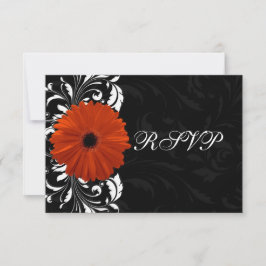Orange Gerbera Tusensköna med Svart och Vitt Rullv OSA Kort