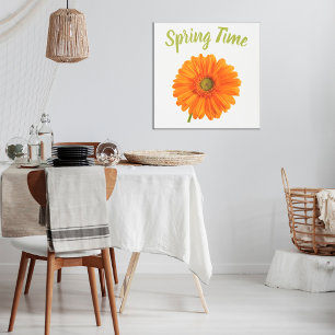 Orange Gerbera vårblomma på vitt foto Poster