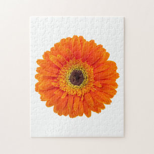 Orange Gerberadaisy Pussel