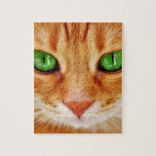 ORANGE GINGER CAT KITTEN PUZZZZE PUSSEL