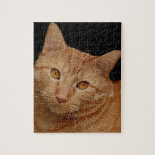 ORANGE GINGER TABBY KATT JIGSAW PUZZZE PUSSEL