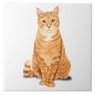 Orange Ginger Tabby Tiger Katt Anpassad Kakelplatta