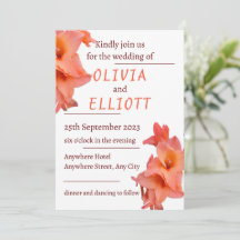 Orange Gladiolus Blommigt Bröllop