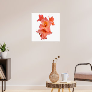 Orange Gladiolus Blommigt Poster