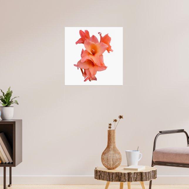 Orange Gladiolus Blomster  Poster (Vardagsrum 3)