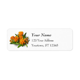 Orange Glory Milkweed-Blommar Returadress Etikett