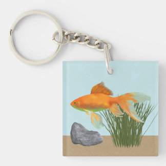 Orange Goldfish Nature Aquarium