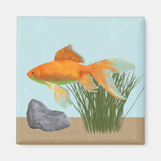 Orange Goldfish Nature Aquarium Magnet (Framsidan)