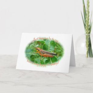 Orange Grashopper Birthday Kort