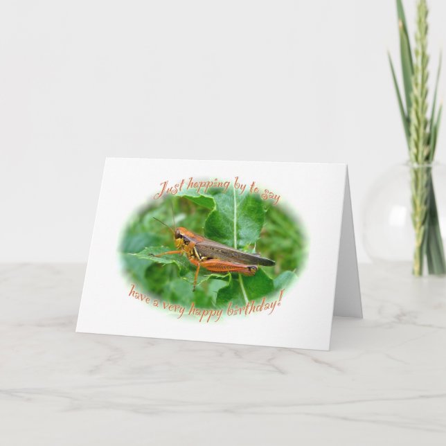 Orange Grashopper Birthday Kort (Framsida)