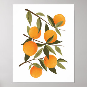 Orange Gren Botaniskt citrusskal för hemmabruk Poster