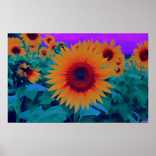 Orange, Grönt och Lila SolrossolrosBlommigt hösten Poster