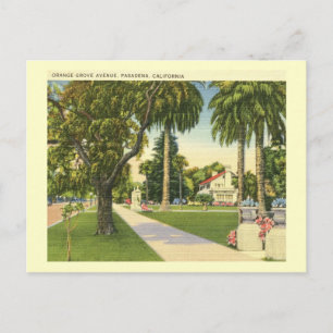 Orange Grove Ave., Pasadena, Kaliforniens Vintage Vykort