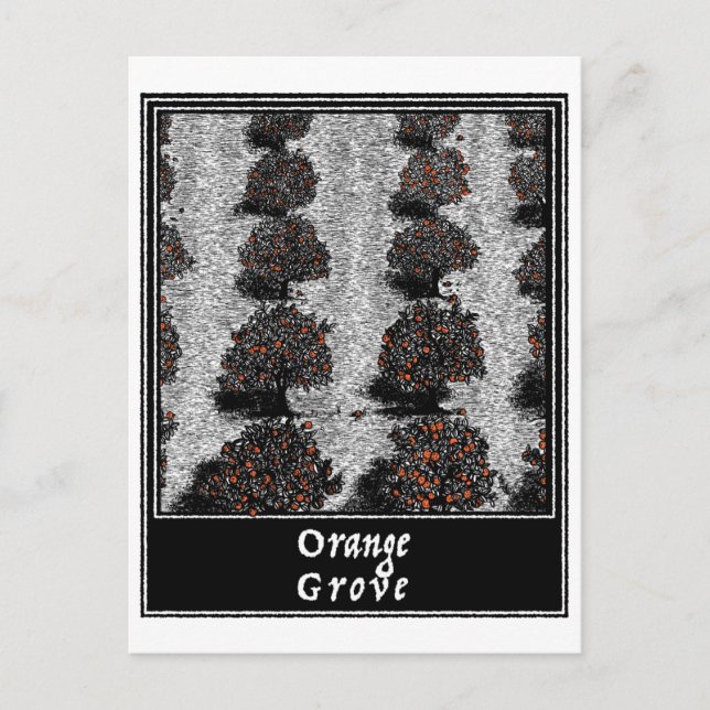 Orange Grove Vykort (Framsida)