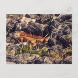 Orange Guana Art Vykort