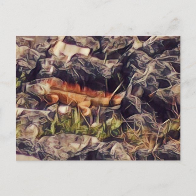 Orange Guana Art Vykort (Framsida)