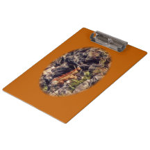 Orange Guana Konst