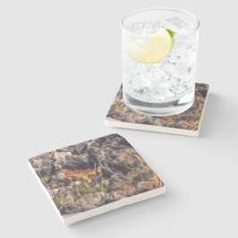 Orange Guana Konst Stenunderlägg