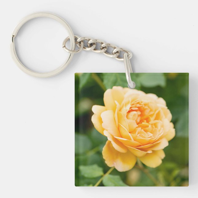 Orange Gul ros (Framsidan)