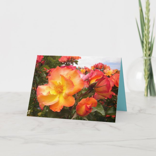 Orange Gul ros blommigt Flowers Birthday Card Kort (Framsida)