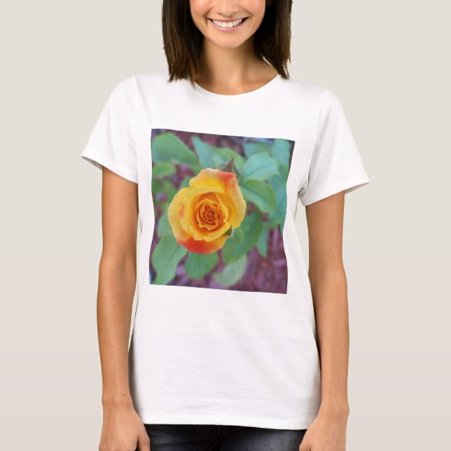 Orange gul ros med morgondagg t shirt (Framsida)