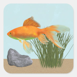 Orange Guld fisk Natur Akvarie Klistermärke Ark