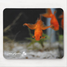 Orange guldfisk Mousepad för lotusblommaFantail