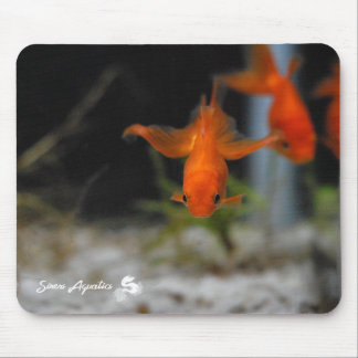Orange guldfisk Mousepad för lotusblommaFantail Musmatta