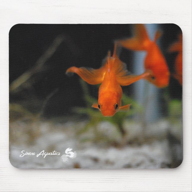 Orange guldfisk Mousepad för lotusblommaFantail Musmatta (Framsidan)