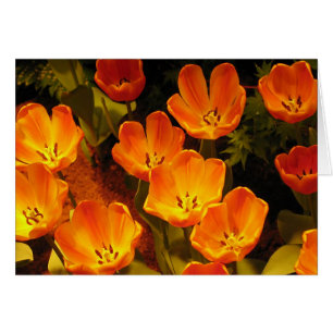 Orange Hälsningskort