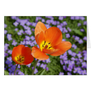 Orange Hälsningskort