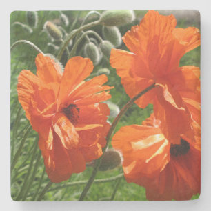 Orange Harvest Måne Oriental Poppies Stenunderlägg