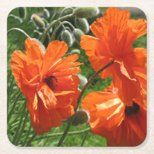 Orange Harvest Moon Oriental Poppies Underlägg Papper Kvadrat