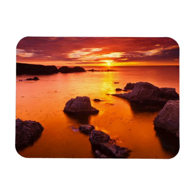 Orange havslandskap, solnedgång, Kalifornien Magnet (Horisontell)
