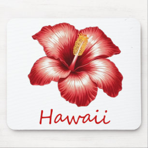 Orange hawaii hibiscus musmatta