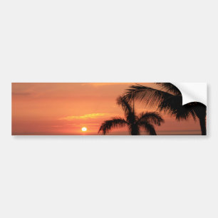Orange Hawaiian Sunset, Birds and Handflatan Träd Bildekal