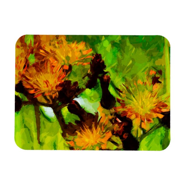 Orange Hawkweed Blommars Abstrakt Impressionism Magnet (Horisontell)
