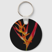 Orange Heliconia