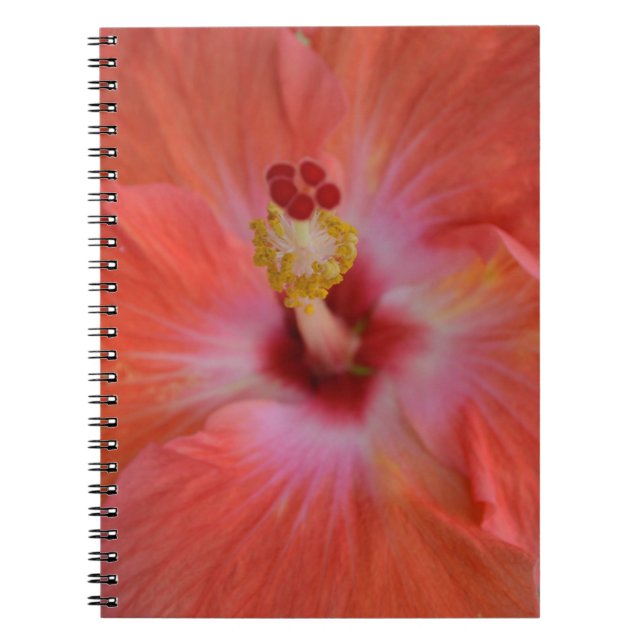 Orange Hibiscus bärbar dator Anteckningsbok Med Spiral (Framsidan)