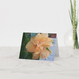 Orange hibiscus-blomma på en in- och invändig note kort