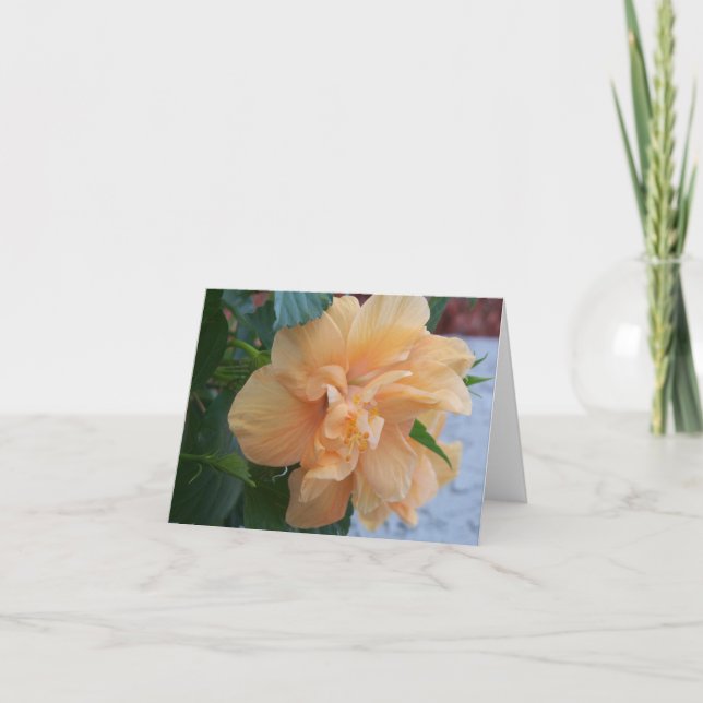 Orange hibiscus-blomma på en in- och invändig note kort (Framsida)