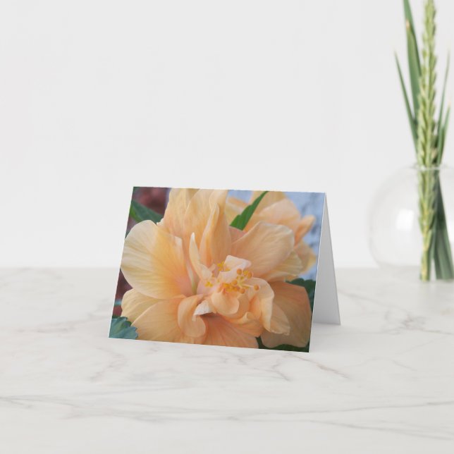 Orange hibiscus blomma på ett tackkort (Framsida)