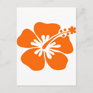Orange hibiscus-blommor vykort