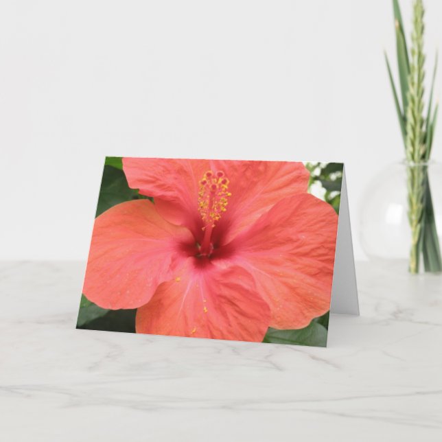 Orange Hibiscus Blomsterkort för Anpassningsbar av Kort (Framsida)
