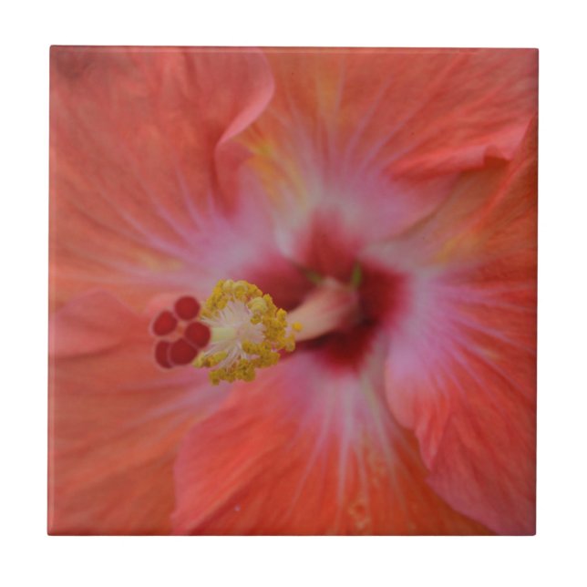 Orange Hibiscus Ceramic Tile Kakelplatta (Framsidan)