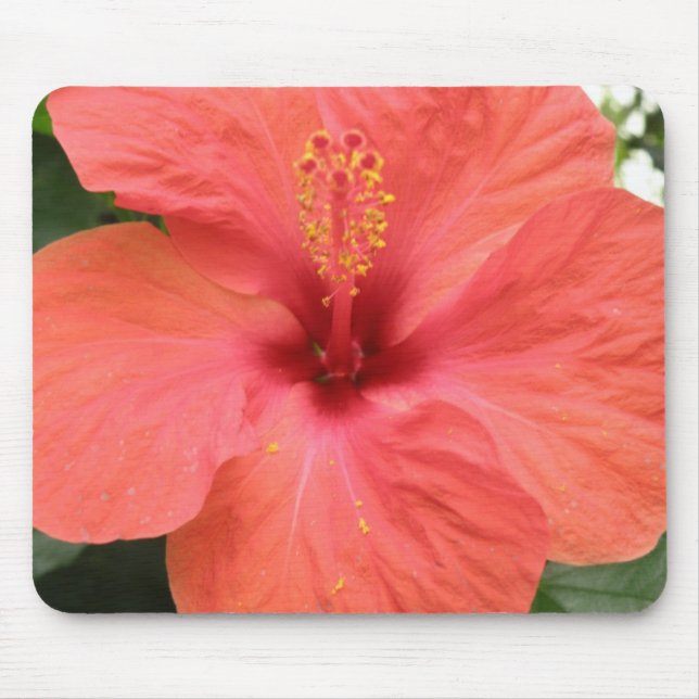 Orange Hibiscus Flower Macro Mousepad Musmatta (Framsidan)