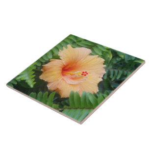 Orange Hibiscus Flower med Ferns Kakelplatta