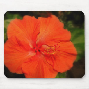 Orange Hibiscus Flower Mousepad Musmatta